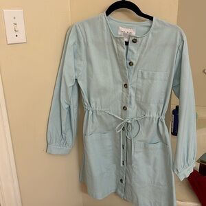 The Shirt by Rochelle Behrens